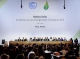 How NGOs can apply for UNFCCC observer status
